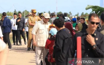 Presiden Prabowo kunjungi Papua Selatan tinjau PSN ketahanan pangan