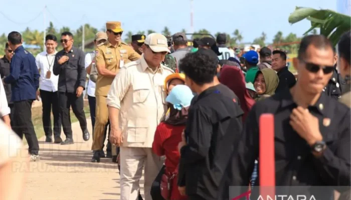 Presiden Prabowo kunjungi Papua Selatan tinjau PSN ketahanan pangan