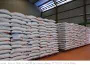 Bapanas: Penyaluran beras SPHP 50 kilogram hanya untuk wilayah 3TP