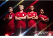 Anggota DPR minta publik tak larut polemik pro-kontra pemecatan STY 