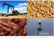 Pengamat nilai kebijakan tarif AS berpotensi lemahkan industri TI