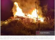 Kapolres : polisi selidiki dugaan OTK bakar 13 unit rumah di Mulia Puncak Jaya