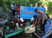 Karantina Papua Selatan lepas 180 ekor Kura-kura Moncong Babi ke habitat asalnya