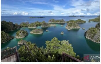 Intaian konflik tambang nikel di Raja Ampat
