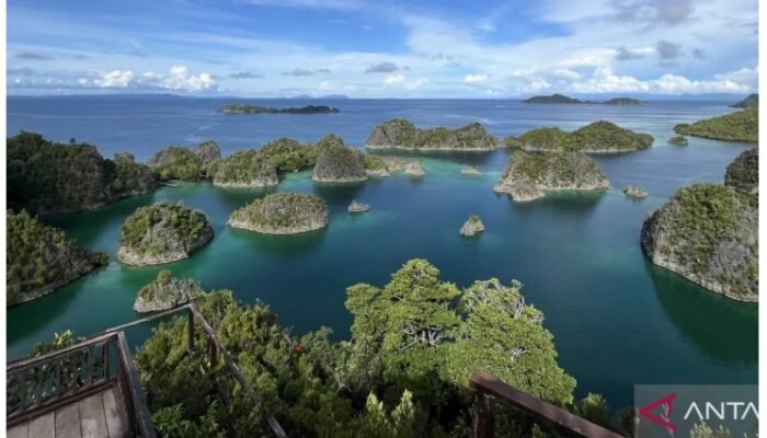 Intaian konflik tambang nikel di Raja Ampat