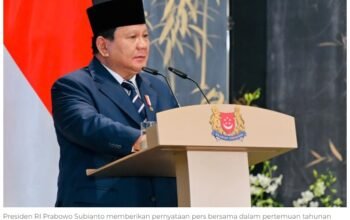 Presiden Prabowo dorong Temasek-Danantara kolaborasi di energi terbarukan